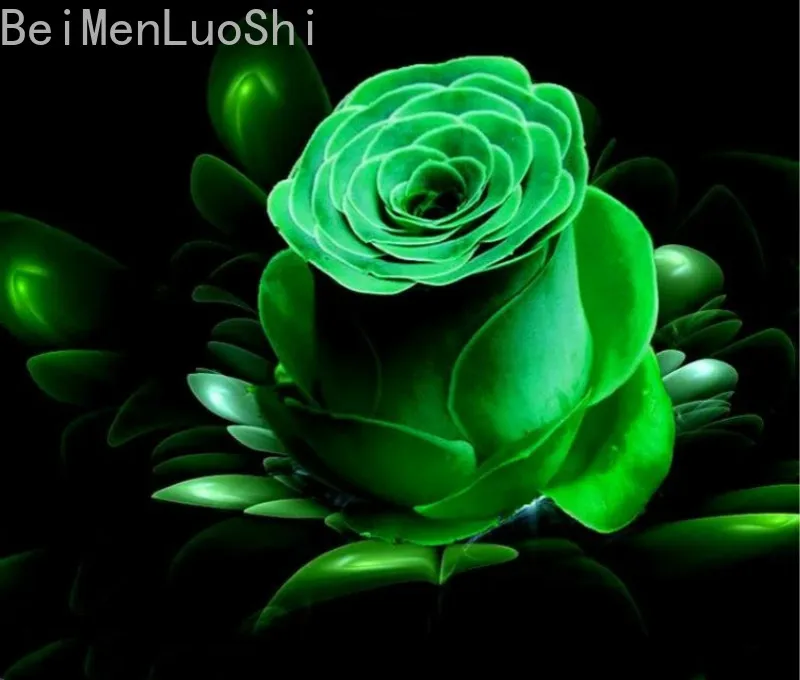 Bonsai Greenovia Plants Home and Garden Decoration Indoor Plants Flowers Succulents Plants 100pcs
Bonsai Greenovia Plants Home and Garden Decoration Indoor Plants Flowers Succulents Plants 100pcs