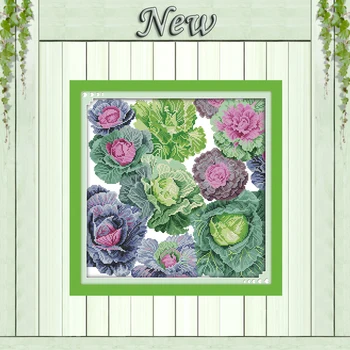 Cabbage vegetable diy decor painting counted printed on canvas DMC chinese Cross Stitch kits 11CT 14CT needlework Set embroidery
Cabbage vegetable diy decor painting counted printed on canvas DMC chinese Cross Stitch kits 11CT 14CT needlework Set embroidery