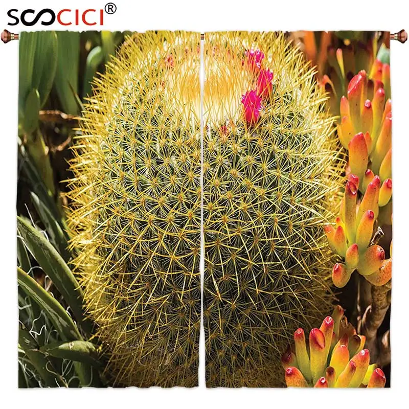 Window Curtains Treatments 2 Panels,Cactus Decor Photo of Cactus Plant Flower with Spike Botanic Desert Garden Floral Image
Window Curtains Treatments 2 Panels,Cactus Decor Photo of Cactus Plant Flower with Spike Botanic Desert Garden Floral Image