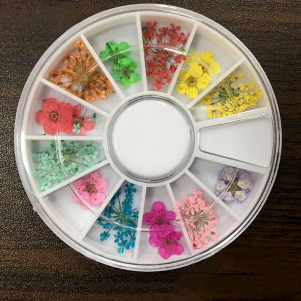 12 Colors Real Natural Petal Dried Dry Flower Tips 3D Nail Art Wheel Decoration Jewelry For UV Gel beauty Manicure Tools 1 Box
12 Colors Real Natural Petal Dried Dry Flower Tips 3D Nail Art Wheel Decoration Jewelry For UV Gel beauty Manicure Tools 1 Box