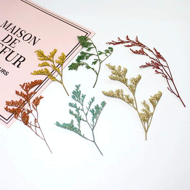 12PCS Epoxy Resin UV Glue Crafts Natural Dry Leaves Flowers Material Manual Book Mark Jewelry Pendant DIY Art Craft Tool
12PCS Epoxy Resin UV Glue Crafts Natural Dry Leaves Flowers Material Manual Book Mark Jewelry Pendant DIY Art Craft Tool
