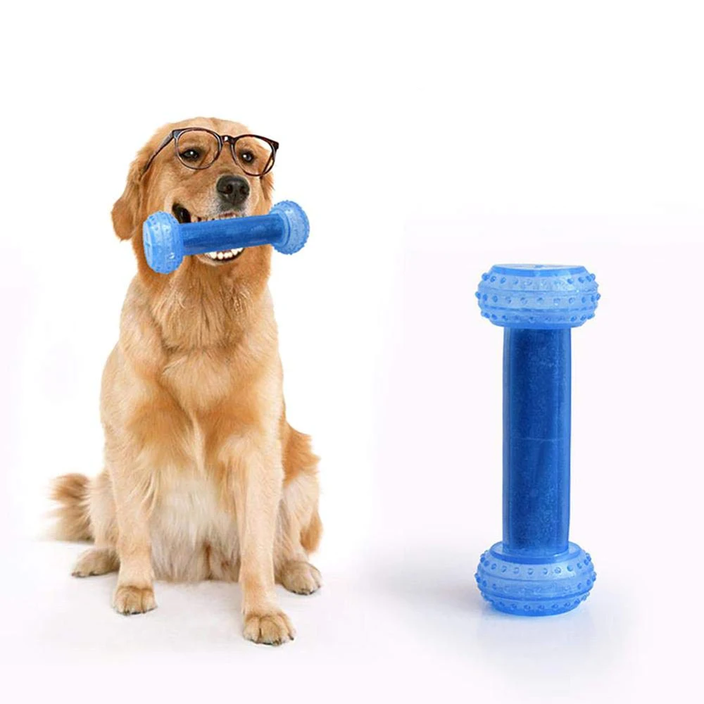 Pet Toy Ice Series Cooling Teether Chew Toy Puzzle Non-Toxic Tasteless Safe Bite Resistant Barbell Type For Dog Puppy Train Tool
Pet Toy Ice Series Cooling Teether Chew Toy Puzzle Non-Toxic Tasteless Safe Bite Resistant Barbell Type For Dog Puppy Train Tool