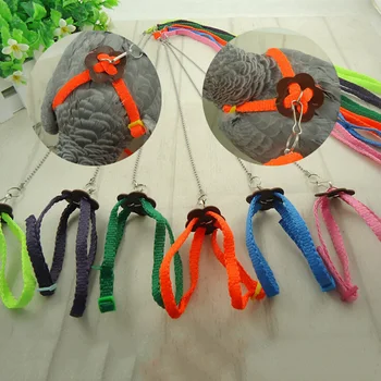 Let's Pet Colorful Parrot Bird Leash Outdoor Adjustable Harness Training Rope Flying Cross Band
Let's Pet Colorful Parrot Bird Leash Outdoor Adjustable Harness Training Rope Flying Cross Band