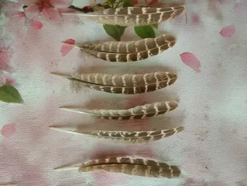 New! sell 200 pc high quality pheasant feathers, 5-6 "/ 12-15cm DIY jewelry decoration
New! sell 200 pc high quality pheasant feathers, 5-6 "/ 12-15cm DIY jewelry decoration