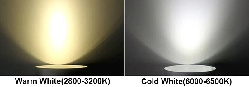 3649849517_1517693882