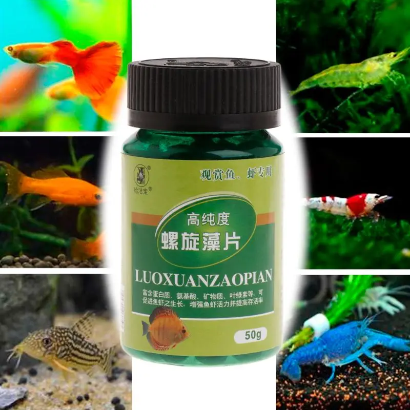Fish Food Aquarium Fish Tank Tropical Fish Algae Spirulina Pills Tablet Protein Amino Acid Mineral Vitamin Provider Feeders
Fish Food Aquarium Fish Tank Tropical Fish Algae Spirulina Pills Tablet Protein Amino Acid Mineral Vitamin Provider Feeders
