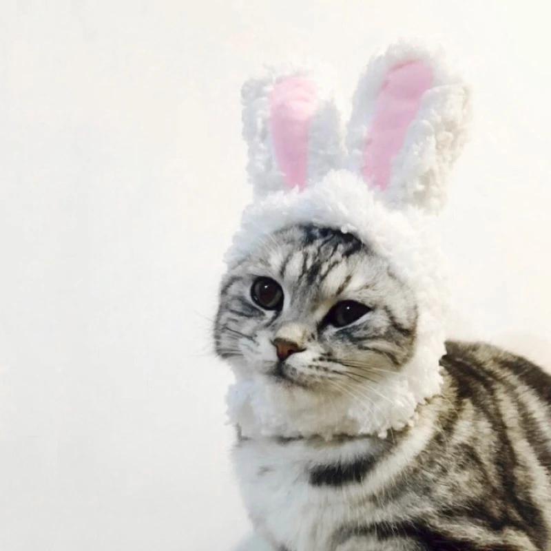 2019 Cute Rabbit Ear Hat for Cats Dogs Cosplay Headwear Christmas Halloween New Year Party Fleece Cap Small Pet Accessories
2019 Cute Rabbit Ear Hat for Cats Dogs Cosplay Headwear Christmas Halloween New Year Party Fleece Cap Small Pet Accessories