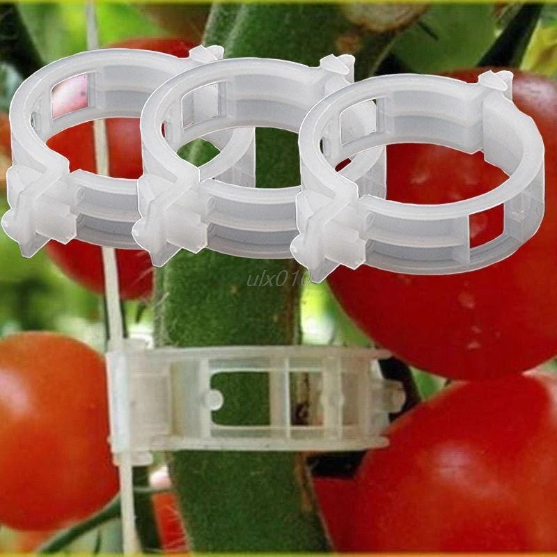 10Pcs Tomato clips trellis vegetable binder twine garden plant support 24mm July1 Drop ship
10Pcs Tomato clips trellis vegetable binder twine garden plant support 24mm July1 Drop ship