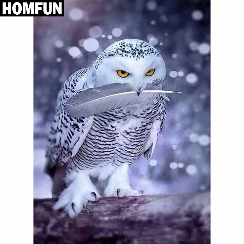 HOMFUN Full Square/Round Drill 5D DIY Diamond Painting "Owl feather" Embroidery Cross Stitch 5D Home Decor Gift
HOMFUN Full Square/Round Drill 5D DIY Diamond Painting "Owl feather" Embroidery Cross Stitch 5D Home Decor Gift