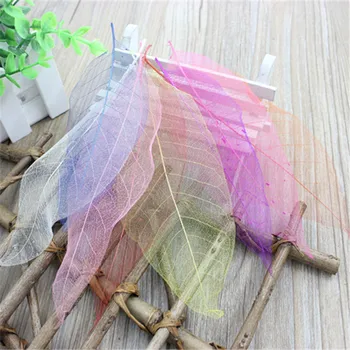 Free shipping ZAKKA shooting furnishings forest system natural dried flowers natural magnolia leaves 30pcs
Free shipping ZAKKA shooting furnishings forest system natural dried flowers natural magnolia leaves 30pcs