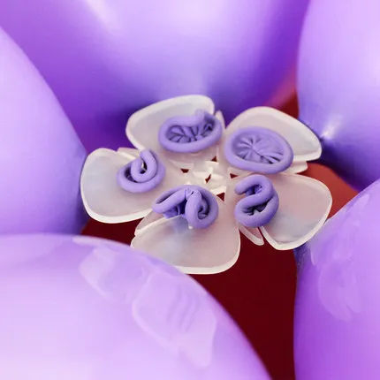 Фото Plum clip 5 in 1 Tool for Balloons Party Decoration Accessory Wedding Favors 1pc | Дом и сад
