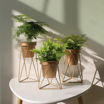 3pcs Golden Stainless Steel Flowerpot Planter Flower Plant Succulents Container Bonsai Home Table Garden Decoration Ornament
3pcs Golden Stainless Steel Flowerpot Planter Flower Plant Succulents Container Bonsai Home Table Garden Decoration Ornament