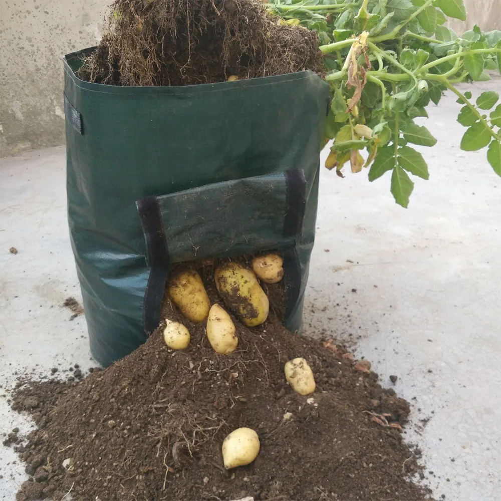 1pc Woven Potato Cultivation Planting Bags Vegetable Garden Growing Bags Pots Planters Farm Home Garden Farm Supplies
1pc Woven Potato Cultivation Planting Bags Vegetable Garden Growing Bags Pots Planters Farm Home Garden Farm Supplies