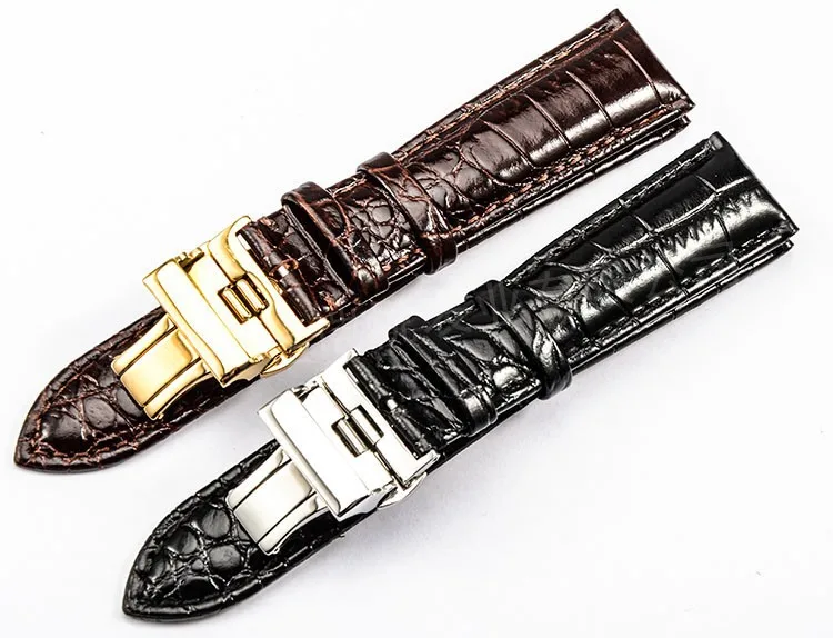 3585668274_1456910487