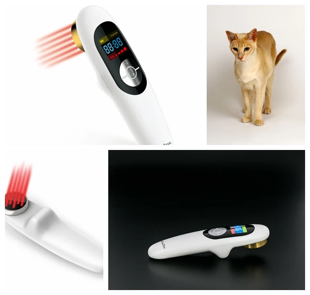 hand held 808nm bio laser therapy equipment for clinical and home
hand held 808nm bio laser therapy equipment for clinical and home