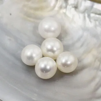 High Quality Pearls an assortment of colors rainbow color pearls Perfectly Round loose pearl beads great birthday gift LR005
High Quality Pearls an assortment of colors rainbow color pearls Perfectly Round loose pearl beads great birthday gift LR005