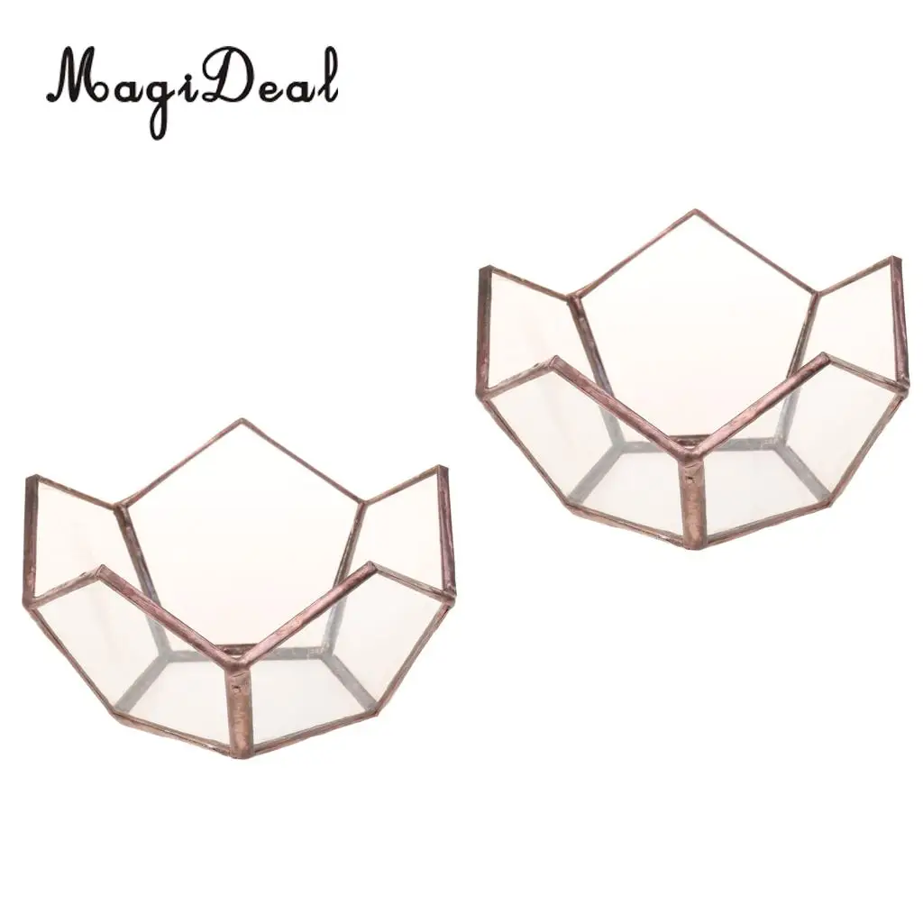 MagiDeal 2x Open Copper Glass Geometric Terrarium Tabletop Succulent Plants Container
MagiDeal 2x Open Copper Glass Geometric Terrarium Tabletop Succulent Plants Container