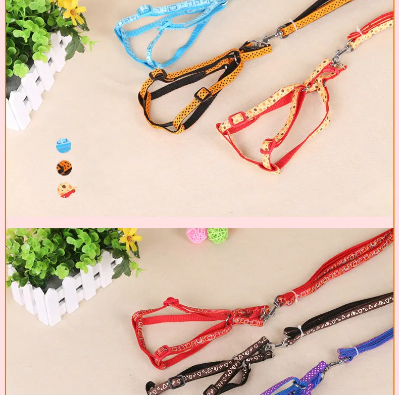 High Quality Practical Teddy small dog leash traction rope harness belt walking pet products | Дом и сад