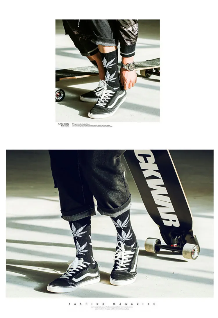 fengye_21