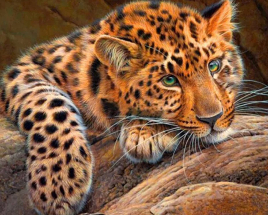 Full Round Drill 5D DIY Diamond Painting Leopard Animal 3D Embroidery Cross Stitch 5D Home Decor Gift
Full Round Drill 5D DIY Diamond Painting Leopard Animal 3D Embroidery Cross Stitch 5D Home Decor Gift