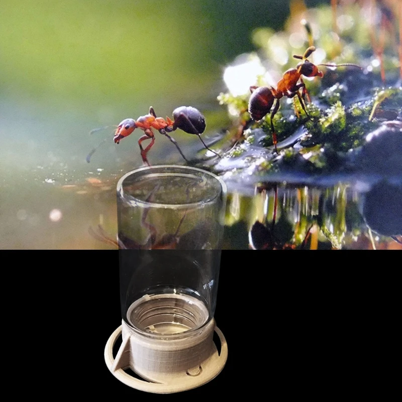 Wholesale Practical Ant Feeder Ant Farm Insect Nests House Water Erea Ant Feeding Bowl May06
Wholesale Practical Ant Feeder Ant Farm Insect Nests House Water Erea Ant Feeding Bowl May06