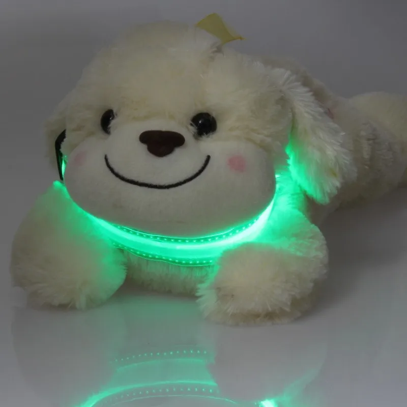 Transparent Flashing Dog Collar (32)