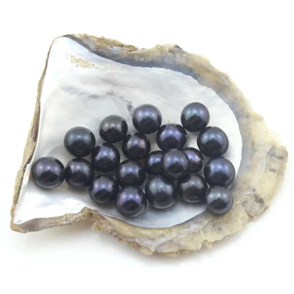 Fashion 5pcs 6-7MM DIY Colorful Round Natural Black Freshwater Pearl Round Loose Charms Beads DIY Wholesale Jewelry-E002
Fashion 5pcs 6-7MM DIY Colorful Round Natural Black Freshwater Pearl Round Loose Charms Beads DIY Wholesale Jewelry-E002