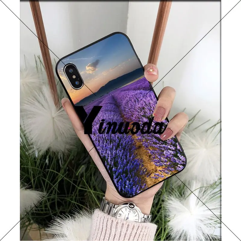 Simple lavender Purple flowers