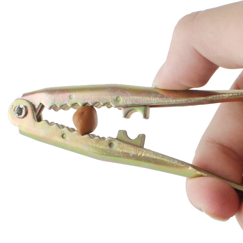 Nutshell Nuts Cracker Walnut Nut Breaker Hazelnut Nut Pine Nuts Cracker Breaker Pecan Peeler Kitchen Snacks Tool
Nutshell Nuts Cracker Walnut Nut Breaker Hazelnut Nut Pine Nuts Cracker Breaker Pecan Peeler Kitchen Snacks Tool