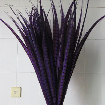 50pcs 28-32inche/70-80cm natural Lady Amherst Pheasant Feather purple pheasant feathers for carnival party costumes decoration
50pcs 28-32inche/70-80cm natural Lady Amherst Pheasant Feather purple pheasant feathers for carnival party costumes decoration