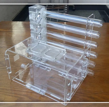 6 Glass Tubes Ant Nest Transparent Ant Housing For Kids Student Scientific Device Ant Villa Acrylic Ant Farm Insect Pet Home
6 Glass Tubes Ant Nest Transparent Ant Housing For Kids Student Scientific Device Ant Villa Acrylic Ant Farm Insect Pet Home