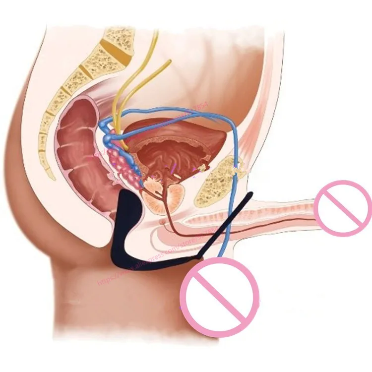 Анальные Фаллоимитаторы Для Простаты