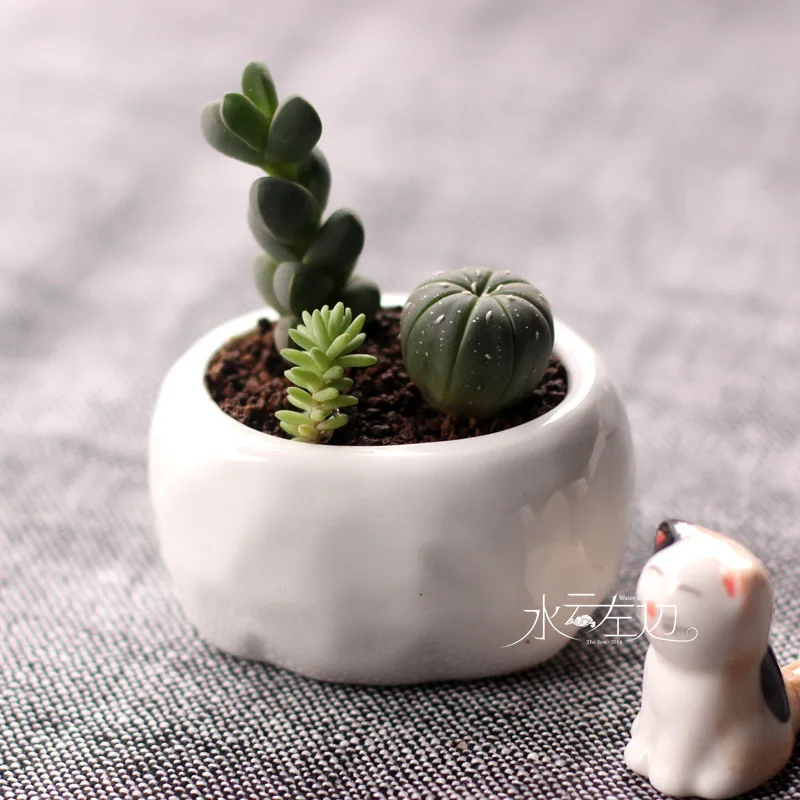 Simple white fans succulents ceramic zakka small bonsai pot plants vase flower container Pots
Simple white fans succulents ceramic zakka small bonsai pot plants vase flower container Pots