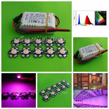 10pcs 3w full spectrum led 380-840nm +1pcs 6-10x3w 600mA led driver diy 30w led grow light for plants lamp
10pcs 3w full spectrum led 380-840nm +1pcs 6-10x3w 600mA led driver diy 30w led grow light for plants lamp