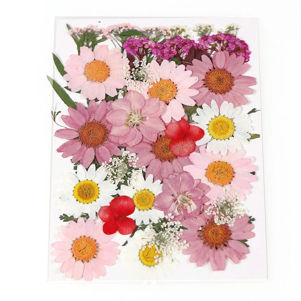1Pcs Dried Daisy Real Sun Flower Material Flower For Epoxy Pendant Necklace Jewelry Making Craft Phone Case DIY Nail Accessories
1Pcs Dried Daisy Real Sun Flower Material Flower For Epoxy Pendant Necklace Jewelry Making Craft Phone Case DIY Nail Accessories