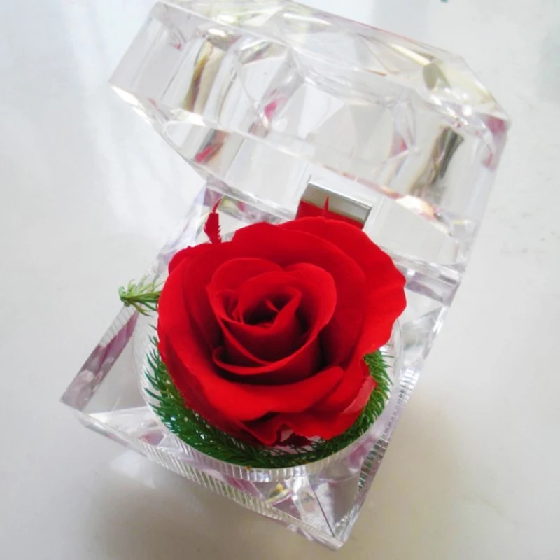 Eternal Rose Ring Box Creative Gift Valentine's Day Quality Gift Romantic eternal life Flower Mother Day Present BF
Eternal Rose Ring Box Creative Gift Valentine's Day Quality Gift Romantic eternal life Flower Mother Day Present BF