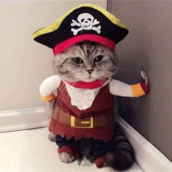 New Arrival Funny Pet Clothes Cosplay Pirate Dog Cat Halloween Party Cute Costume Clothing Comfort For Small Medium Dog #254925
New Arrival Funny Pet Clothes Cosplay Pirate Dog Cat Halloween Party Cute Costume Clothing Comfort For Small Medium Dog #254925