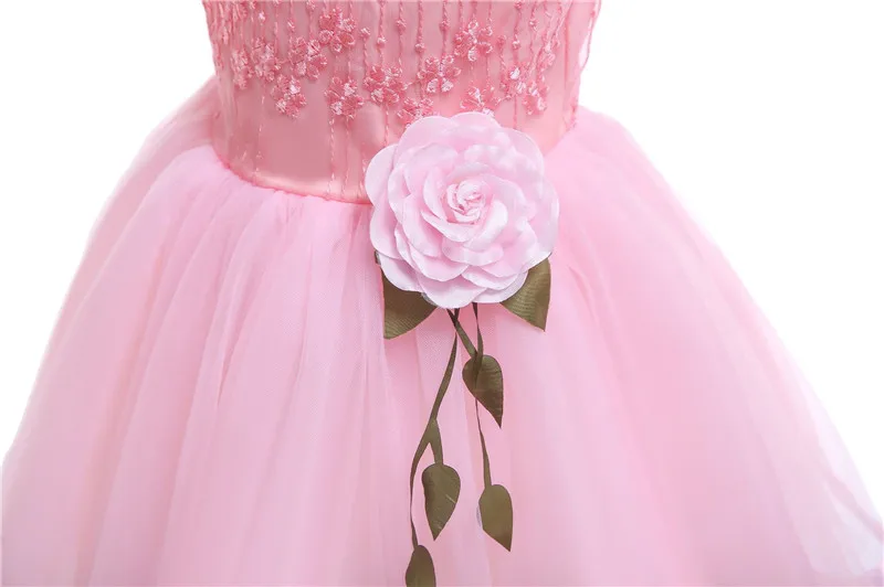 2019 Ins New Children's Party Formal Dresses Summer Baby Girls Ball Gown Rose Flower Dress Lace Children's Clothing Wholesale01