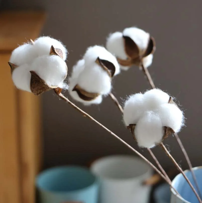 10PCS/Pack artificial dried flower Cotton Head single branch simulation flower DIY wedding decoration for home party wall materi
10PCS/Pack artificial dried flower Cotton Head single branch simulation flower DIY wedding decoration for home party wall materi
