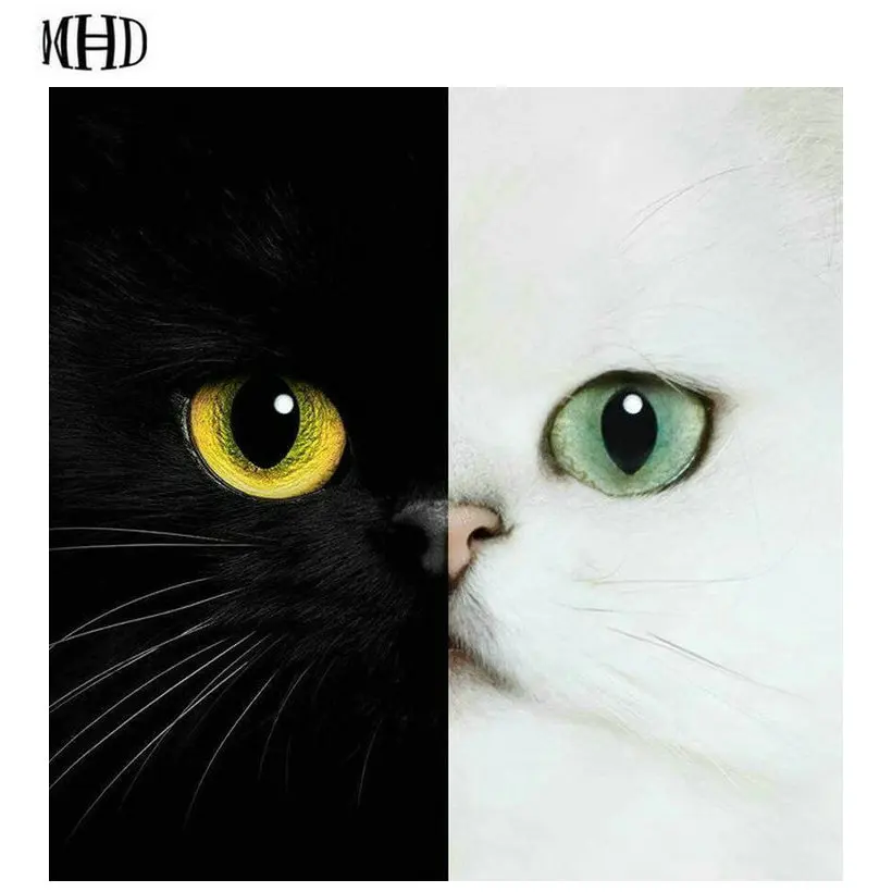 5D diy diamond painting black white cat full round diamond cross stitch decoration mosaic wall stickers embroidery cat gift
5D diy diamond painting black white cat full round diamond cross stitch decoration mosaic wall stickers embroidery cat gift