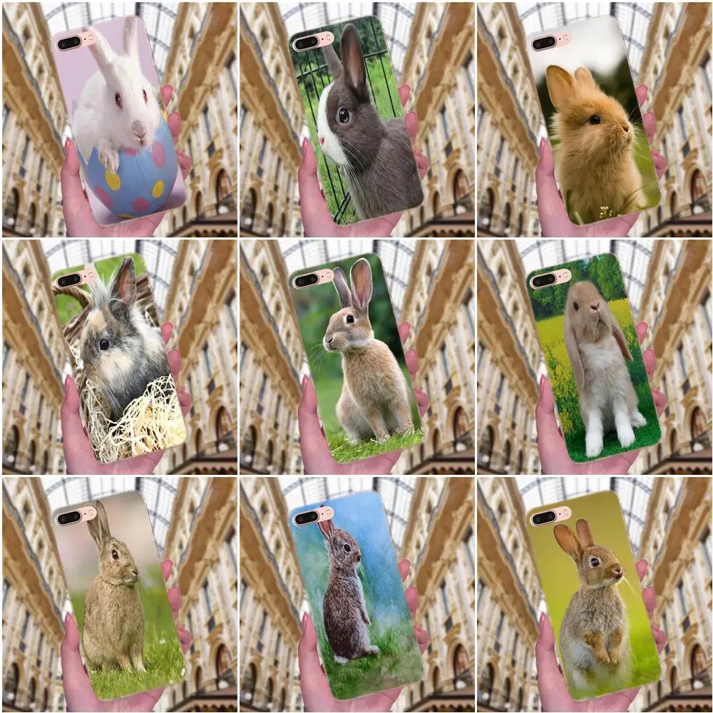 For Sony Xperia Z Z1 Z2 Z3 Z4 Z5 compact Mini M2 M4 M5 T3 E3 E5 XA XA1 XZ Premium TPU Covers Case Bunny Rabbit Couple Protective
For Sony Xperia Z Z1 Z2 Z3 Z4 Z5 compact Mini M2 M4 M5 T3 E3 E5 XA XA1 XZ Premium TPU Covers Case Bunny Rabbit Couple Protective
