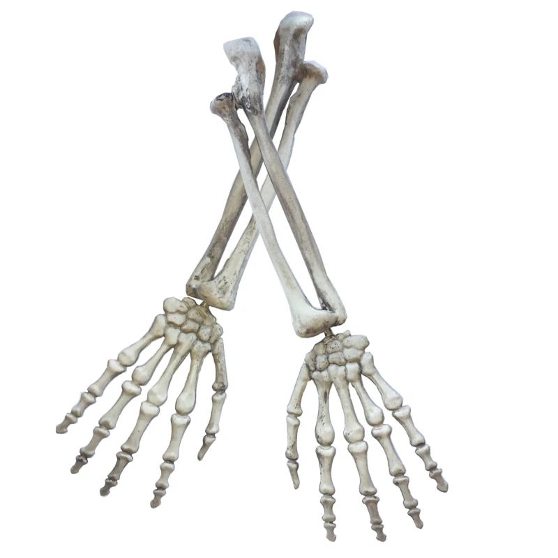Cosplay&ware Plastic Skeleton Arms Witch Hands Haunted Escape Horror Halloween Decorations 7 Cosplay&ware Plastic Skeleton Arms Witch Hands Haunted Escape Horror Halloween Decorations -Cosplayware Store