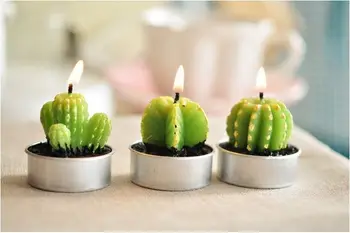 240pcs=40set Free shipping Green Cactus candles smoke-free Valentine Day Gift Plant pot candles,wedding party show candles 
240pcs=40set Free shipping Green Cactus candles smoke-free Valentine Day Gift Plant pot candles,wedding party show candles