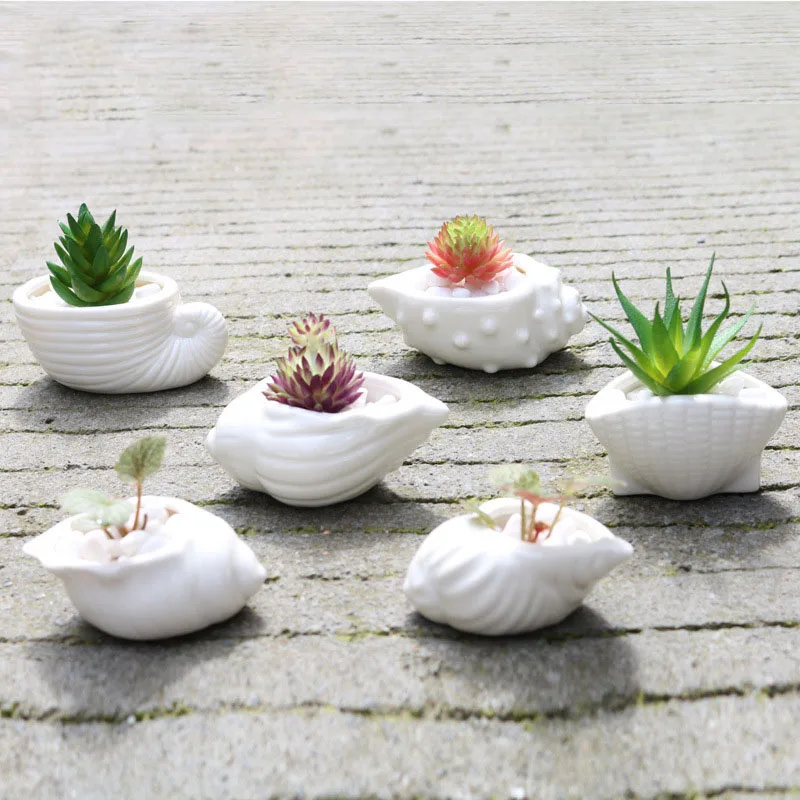 Hot Sale 6pcs/set Mini White Small Flowerpot shell Shape Ceramic Succulent Plant Pot Holder Fairy Garden Cactus Flower Pots Pl
Hot Sale 6pcs/set Mini White Small Flowerpot shell Shape Ceramic Succulent Plant Pot Holder Fairy Garden Cactus Flower Pots Pl