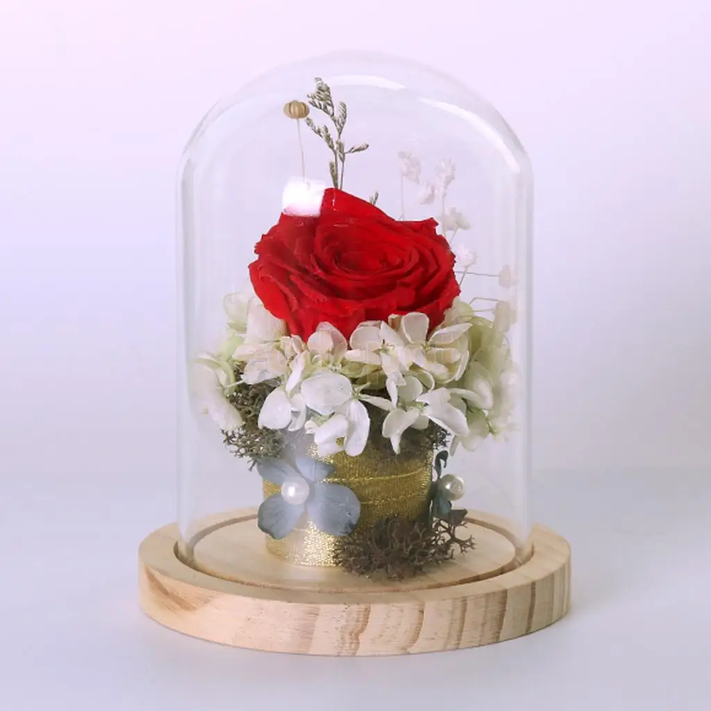 Landscape Terrarium Cover Vase Display Container Desk Decor Roundwood Tray | Дом и сад