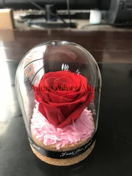 Red color,Mini Eternal Glass Cover Fresh Preserved Rose Flower.Wedding Home Party Decoration,Valentine's Day gift,desktop decor.
Red color,Mini Eternal Glass Cover Fresh Preserved Rose Flower.Wedding Home Party Decoration,Valentine's Day gift,desktop decor.