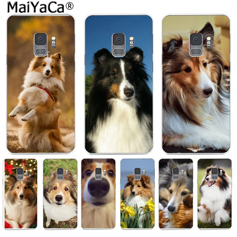 MaiYaCa Funny Animal Sheltie dog Case Protect Phone Cases for Samsung S9 S9 plus S5 S6 S6edge S6plus S7 S7edge S8 S8plus
MaiYaCa Funny Animal Sheltie dog Case Protect Phone Cases for Samsung S9 S9 plus S5 S6 S6edge S6plus S7 S7edge S8 S8plus