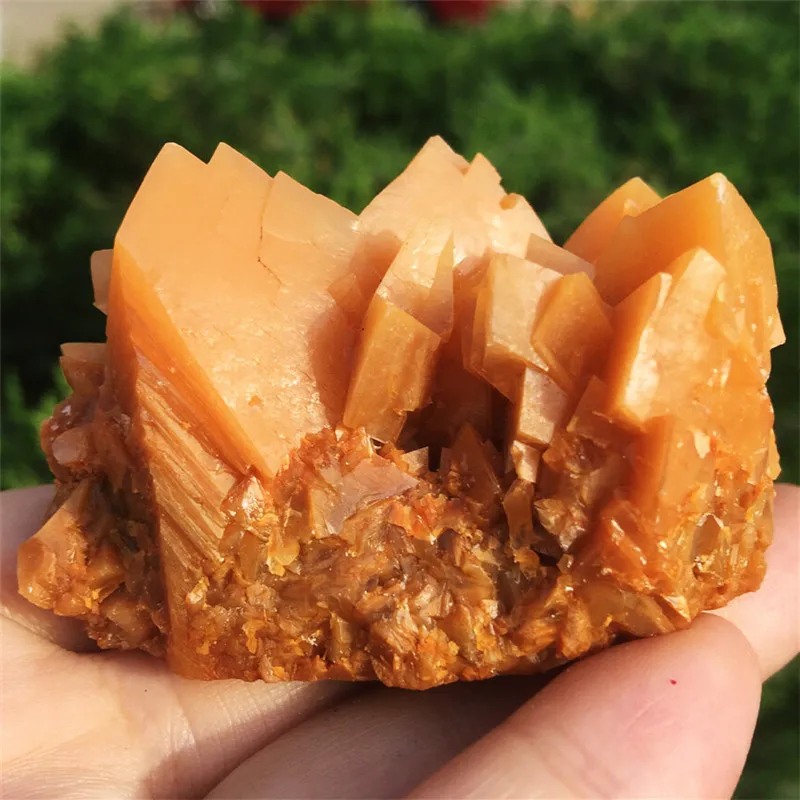 Natural Stone Calcite Crystal flow Raw Quartz Point Selenite Rough Crystal Cluster Calcspar Minerals Specimen Healing 1pcs
Natural Stone Calcite Crystal flow Raw Quartz Point Selenite Rough Crystal Cluster Calcspar Minerals Specimen Healing 1pcs