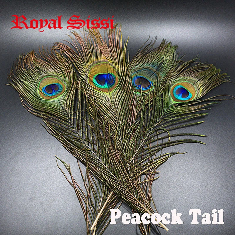 Royal Sissi 10pcs Natural Peacock Tail feathers with big eye fly tying long tail Feather fresh bright peacock herls and quills
Royal Sissi 10pcs Natural Peacock Tail feathers with big eye fly tying long tail Feather fresh bright peacock herls and quills