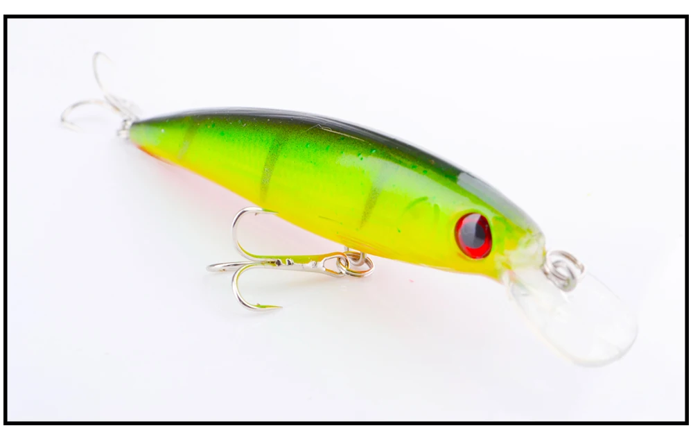 minnow1_16